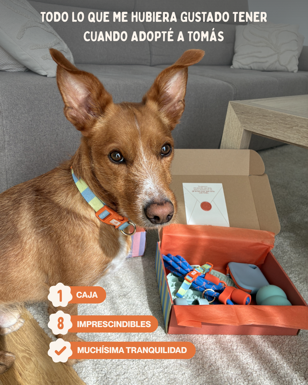 MASCOBOX TRANQUILIDAD