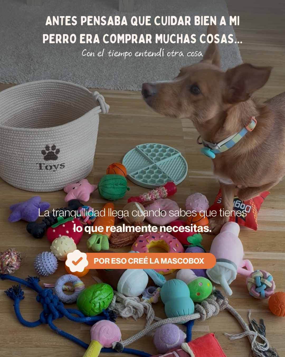 MASCOBOX TRANQUILIDAD
