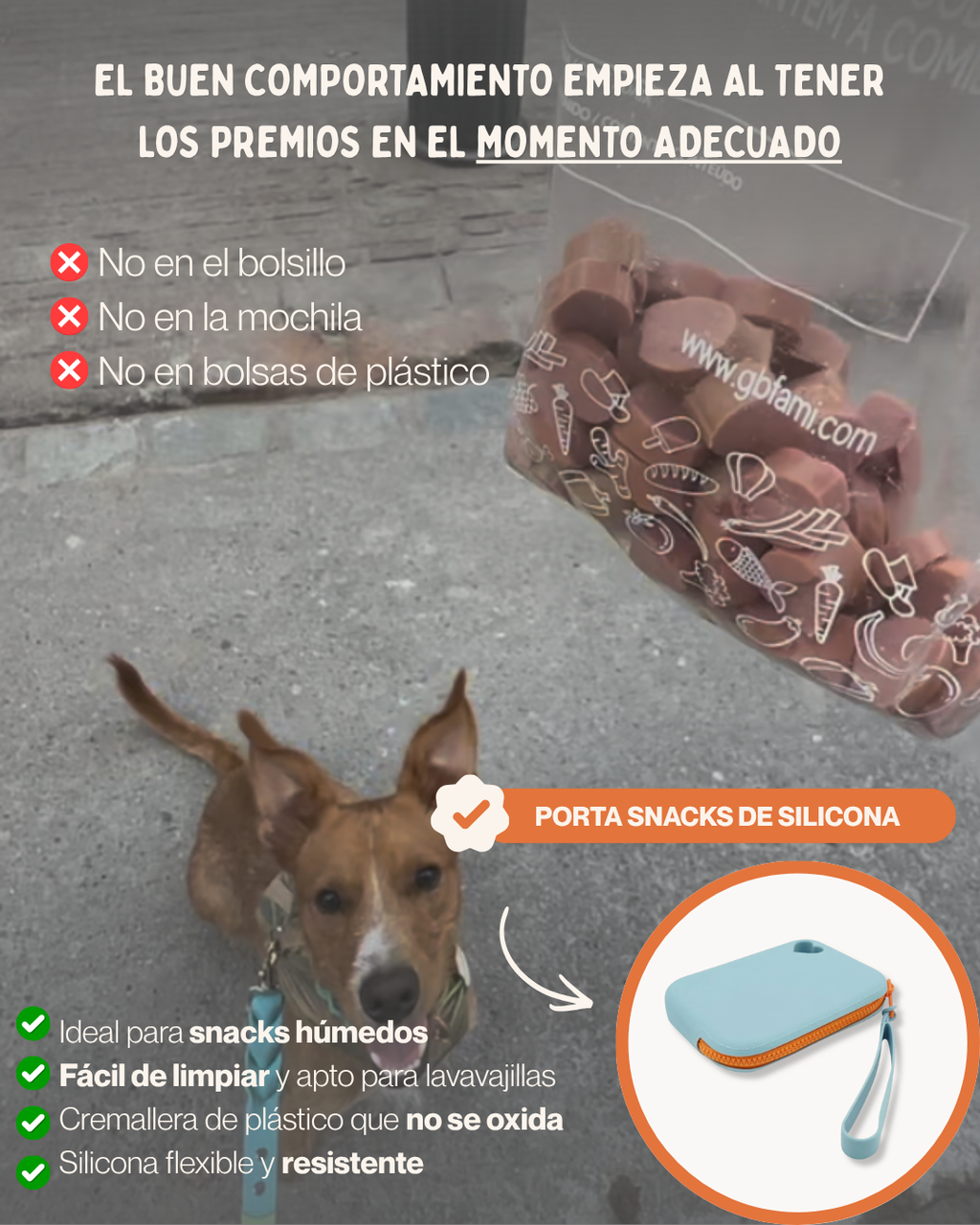 MASCOBOX ESENCIAL