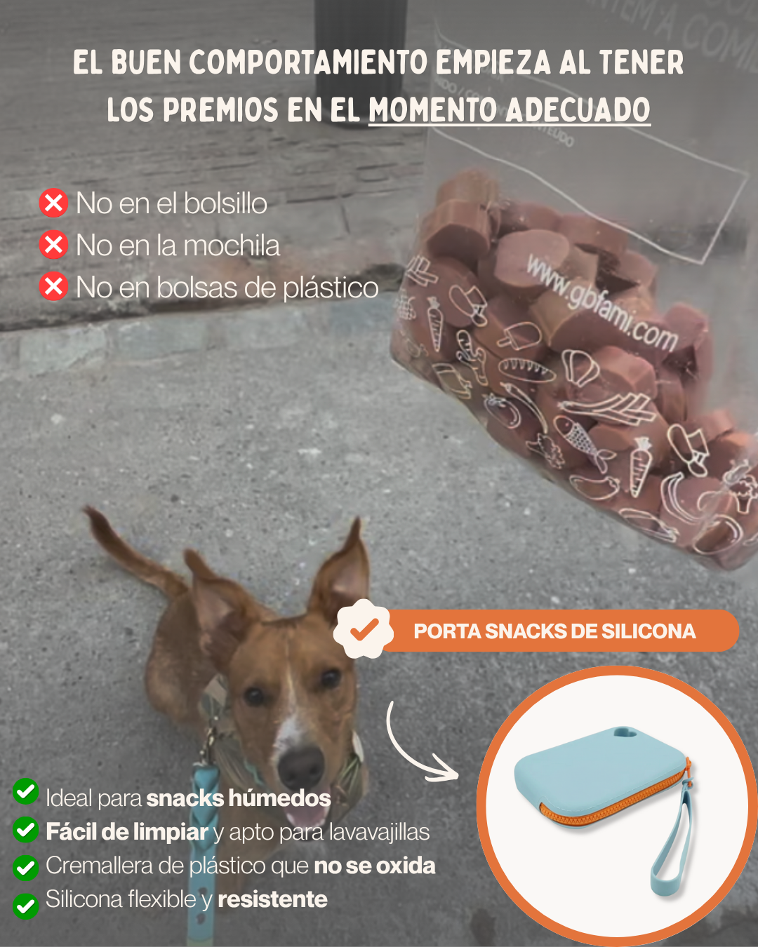 MASCOBOX ESENCIAL