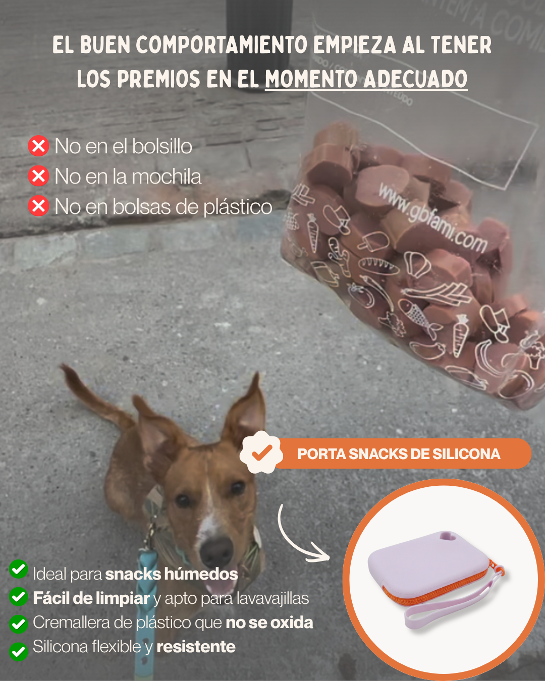 MASCOBOX ESENCIAL