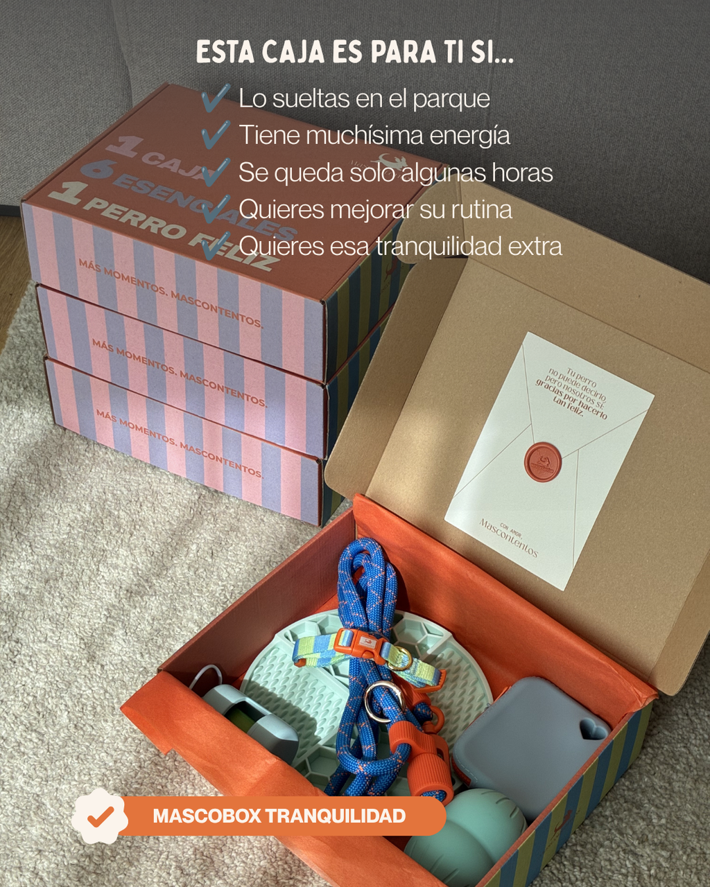 MASCOBOX TRANQUILIDAD