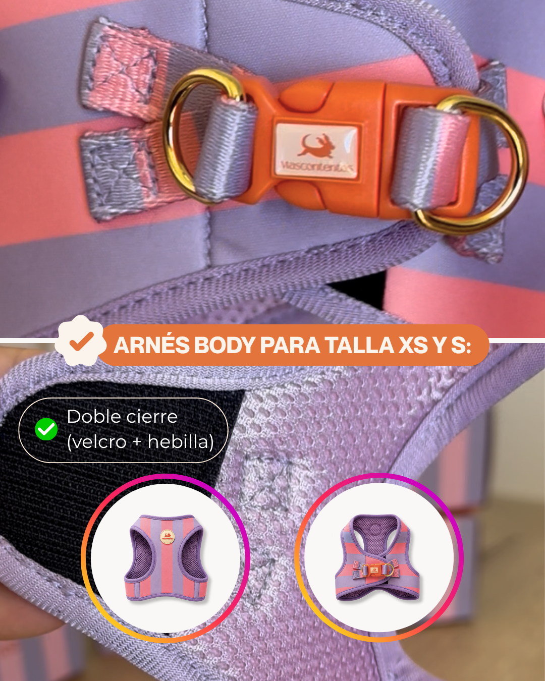 Arnés Rosa | Lila