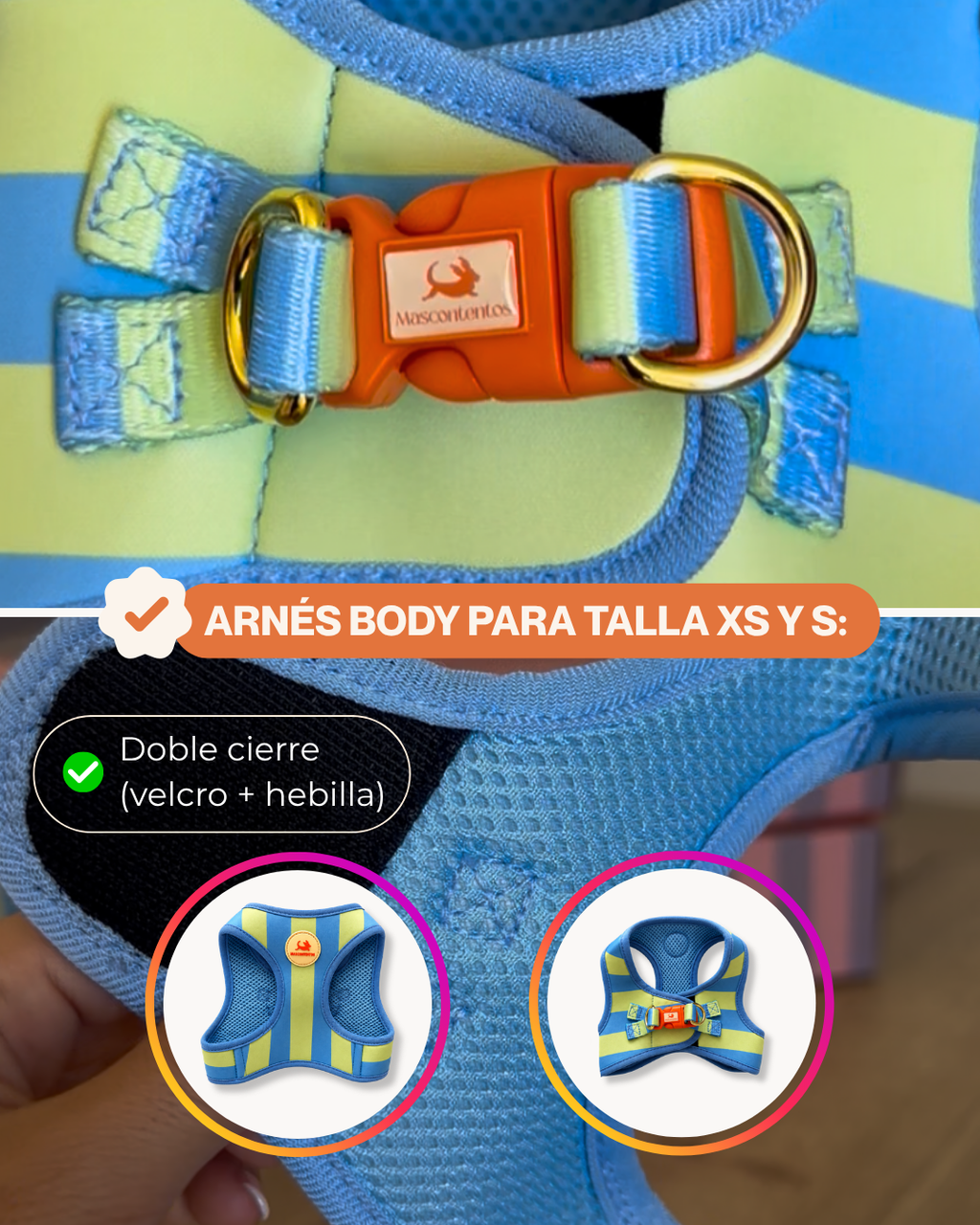 Arnés Azul | Verde