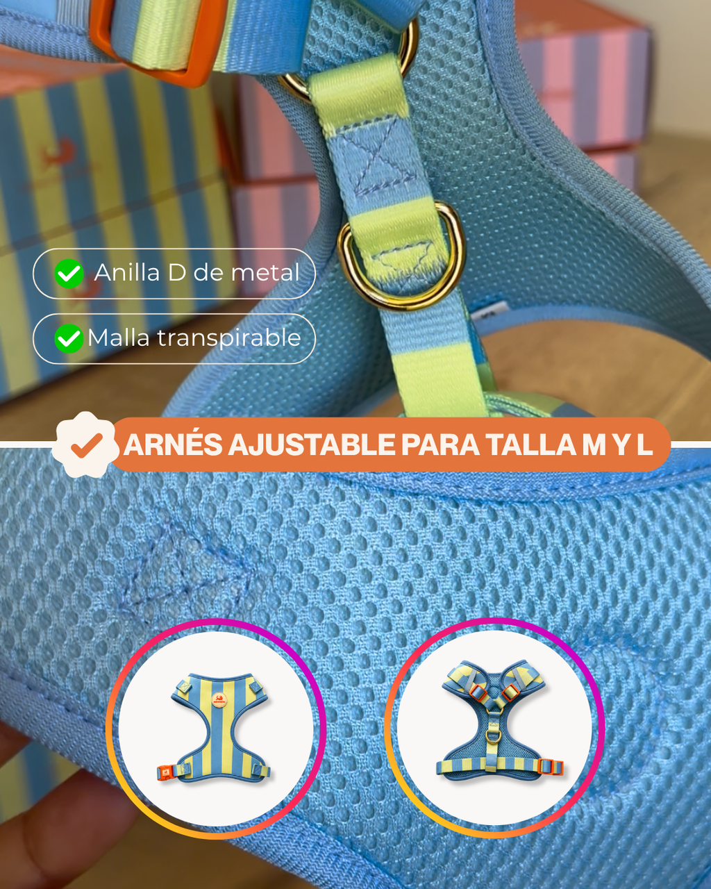 Arnés Azul | Verde