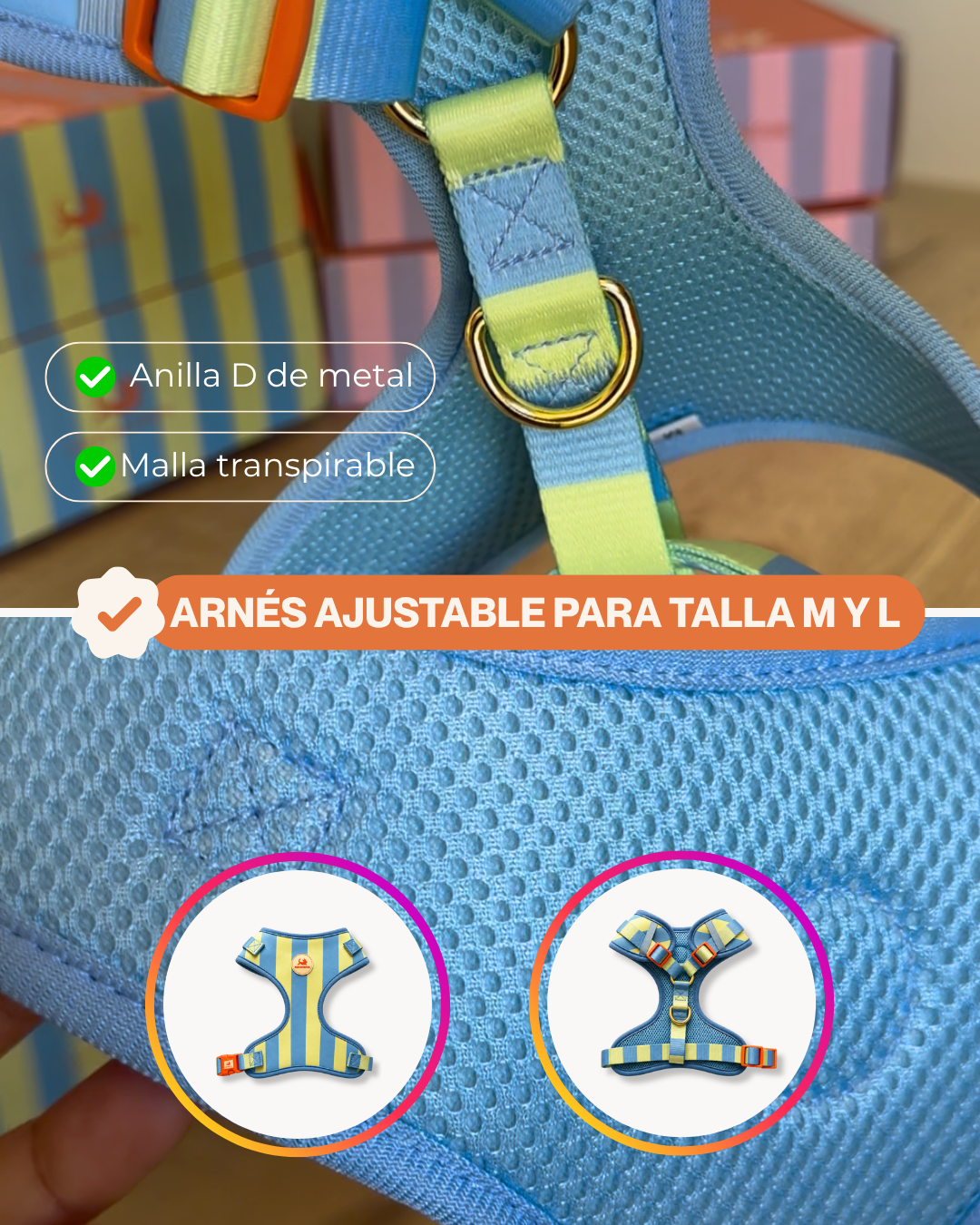 Arnés Azul | Verde