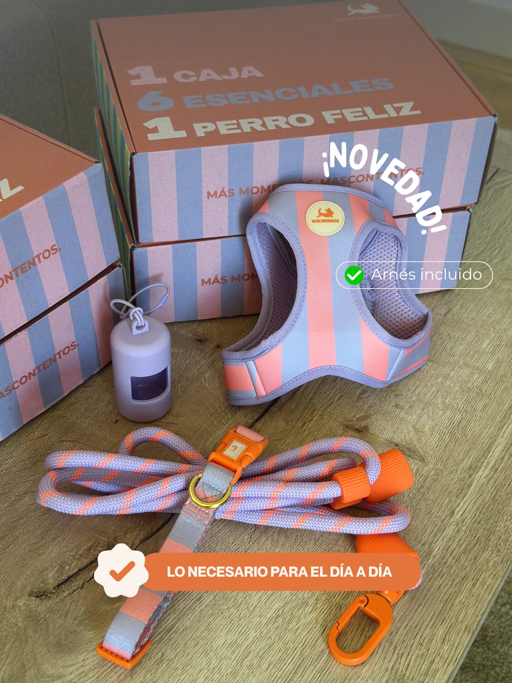 MASCOBOX RUTINA