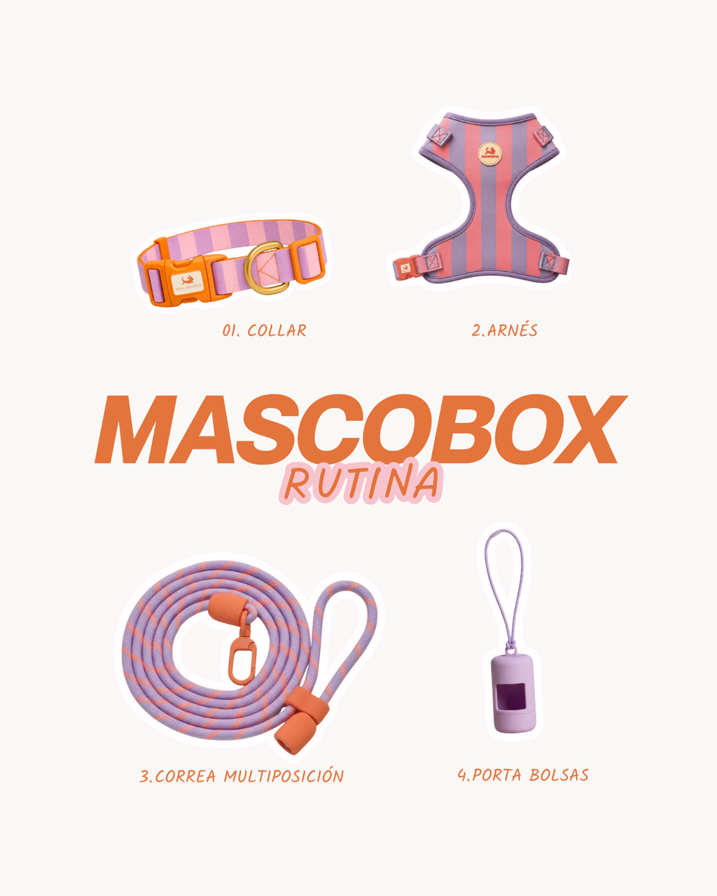 MASCOBOX RUTINA
