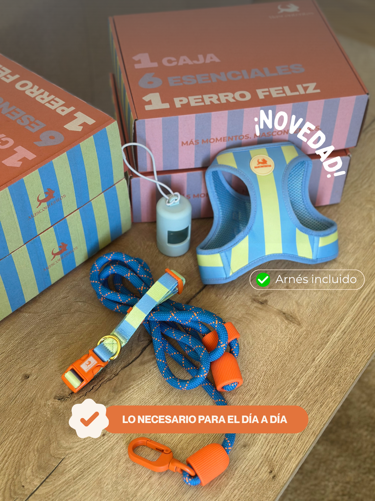 MASCOBOX RUTINA
