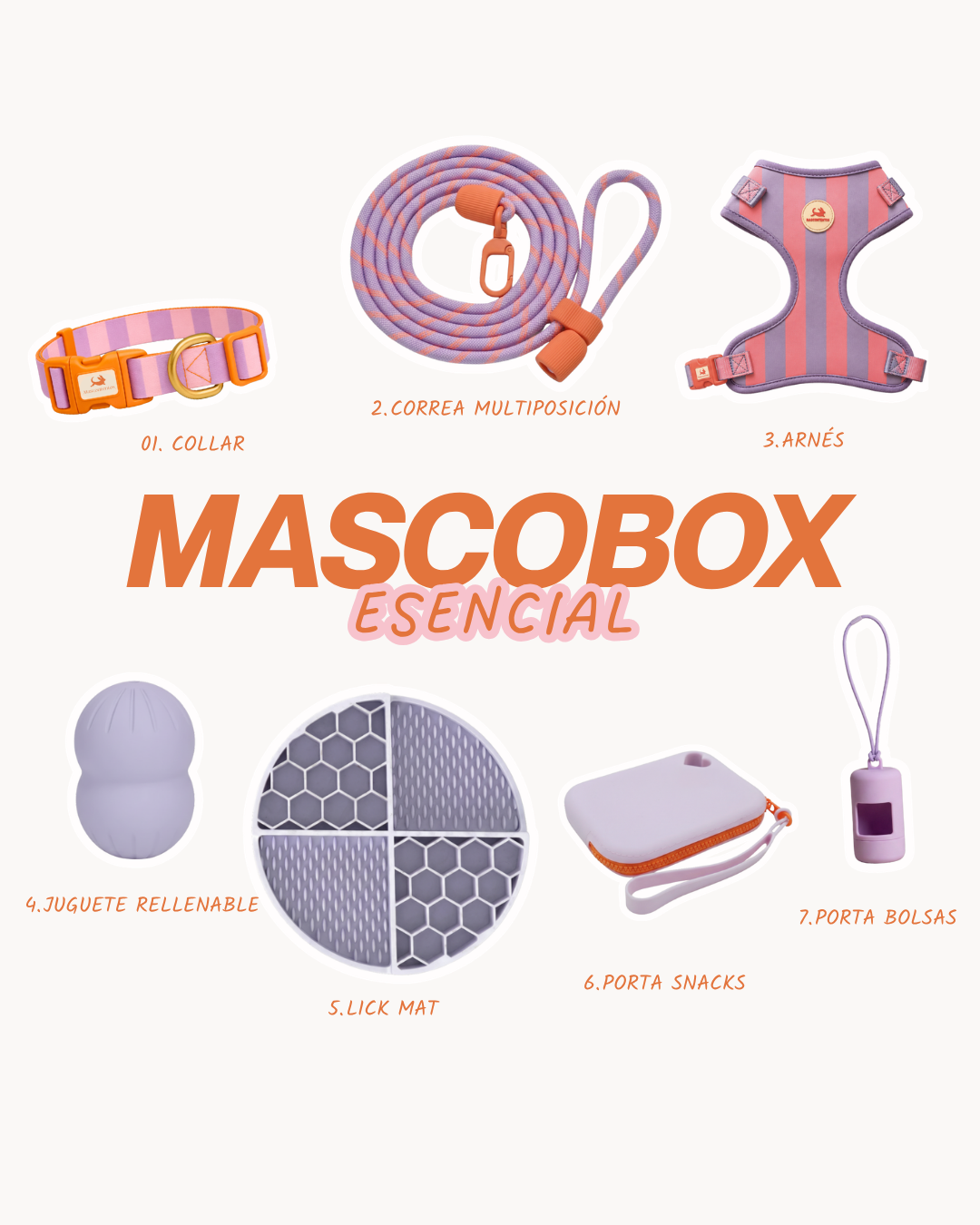 MASCOBOX ESENCIAL