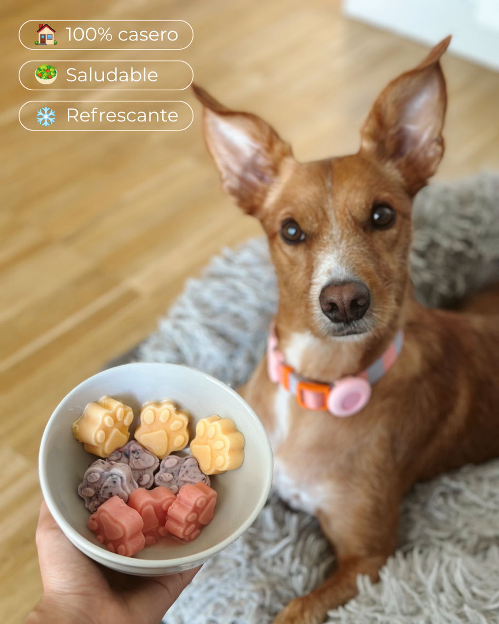 Molde Patitas Rosa — Snacks Caseros, Saludables y Refrescantes