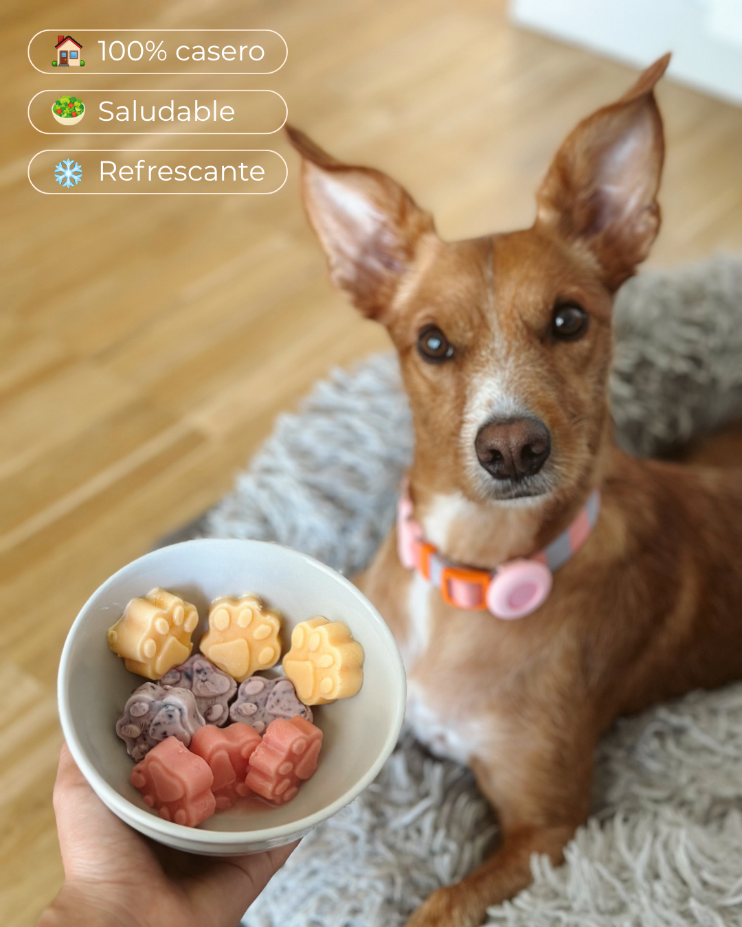 Molde Patitas Rosa — Snacks Caseros, Saludables y Refrescantes