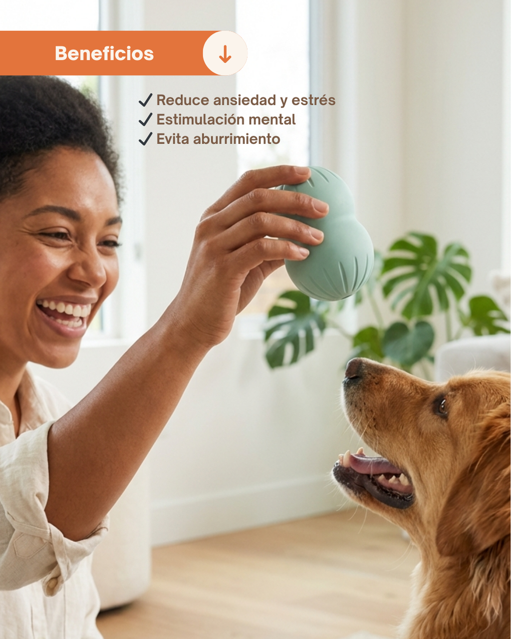 Juguete interactivo Verde