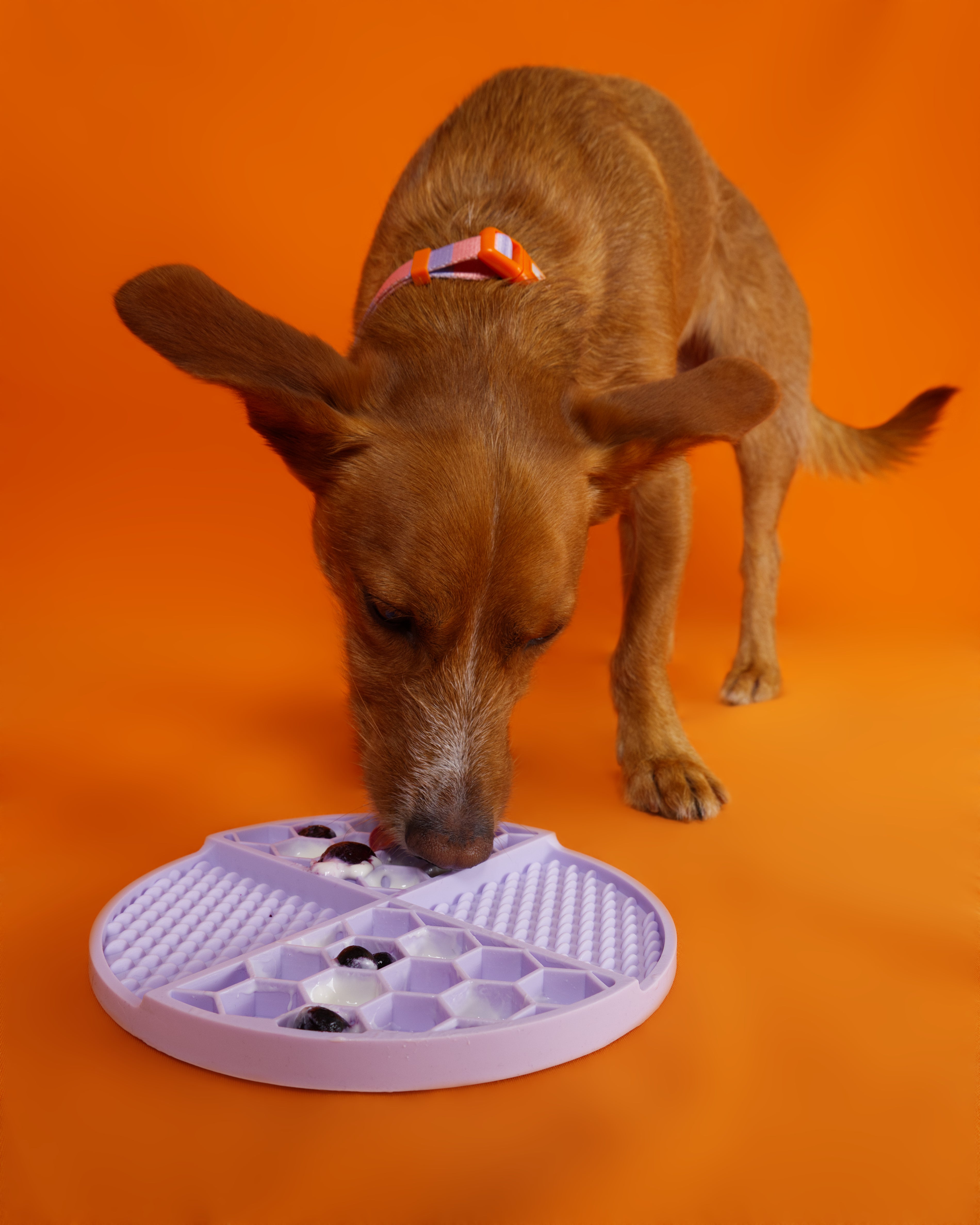 Lick Mat Lila