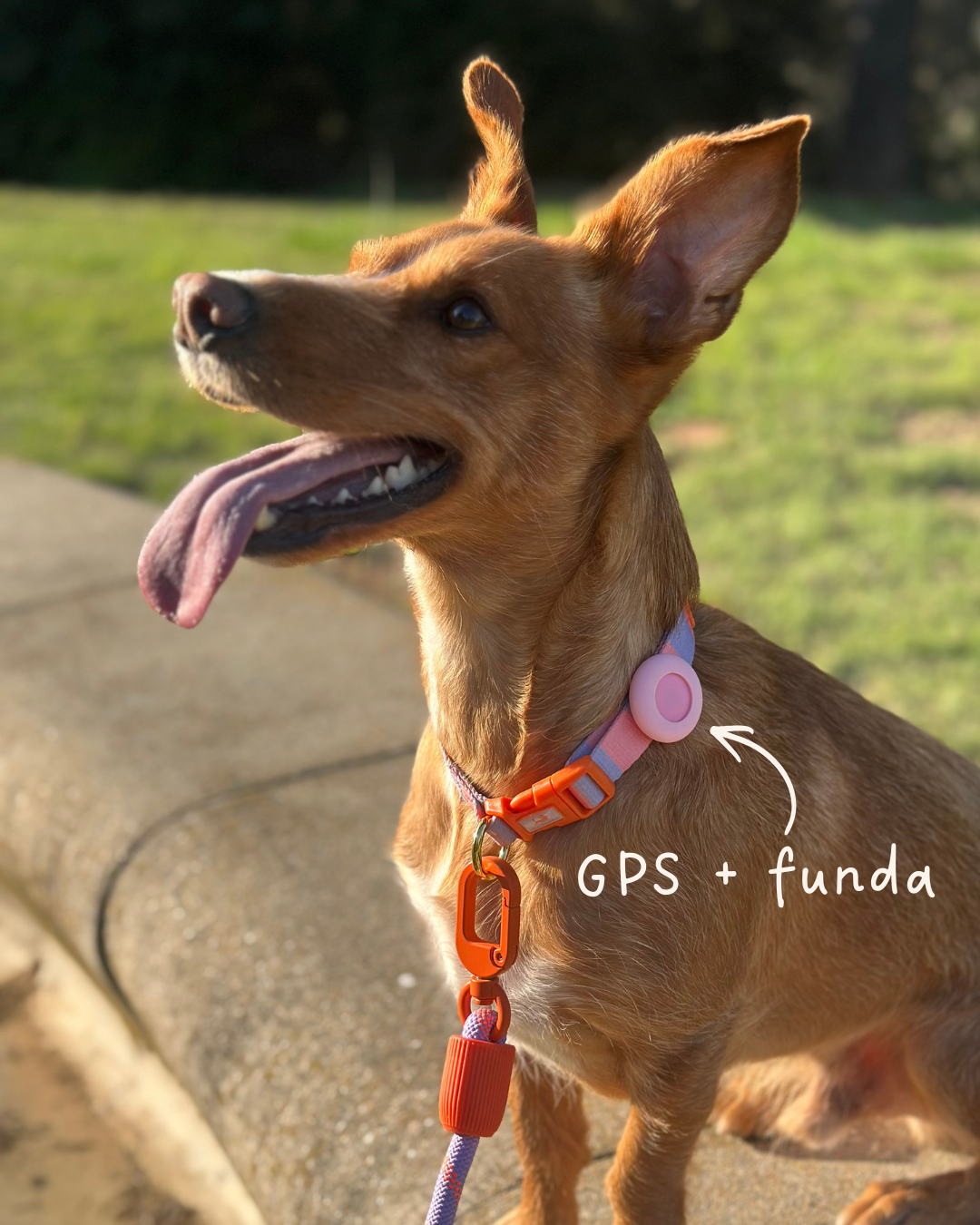 Pet Tracker GPS + Funda Rosa