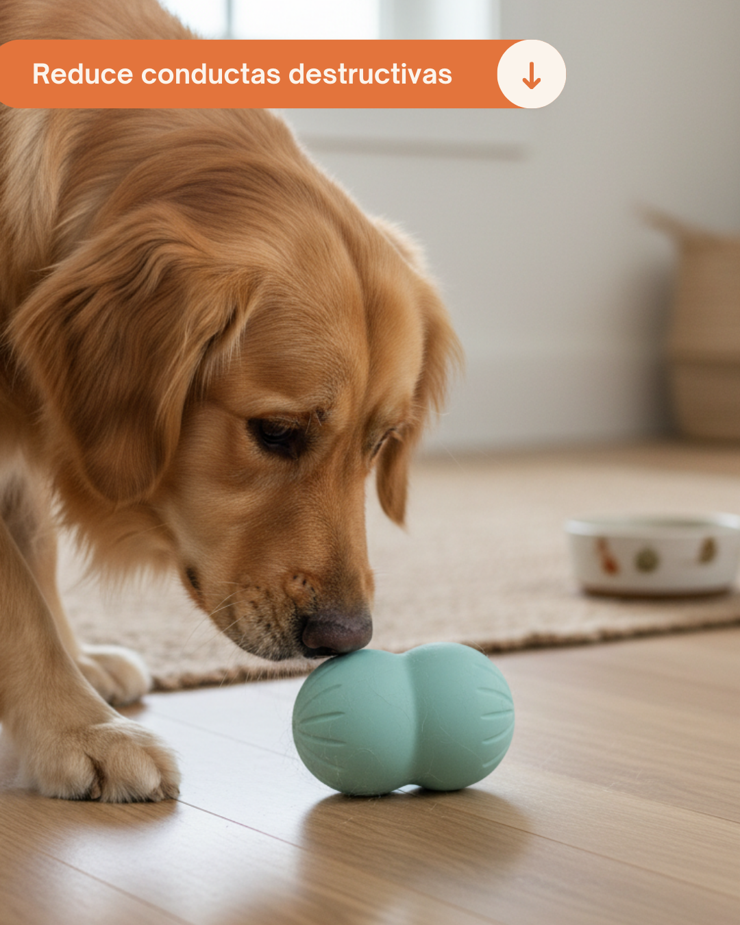 Juguete interactivo Verde