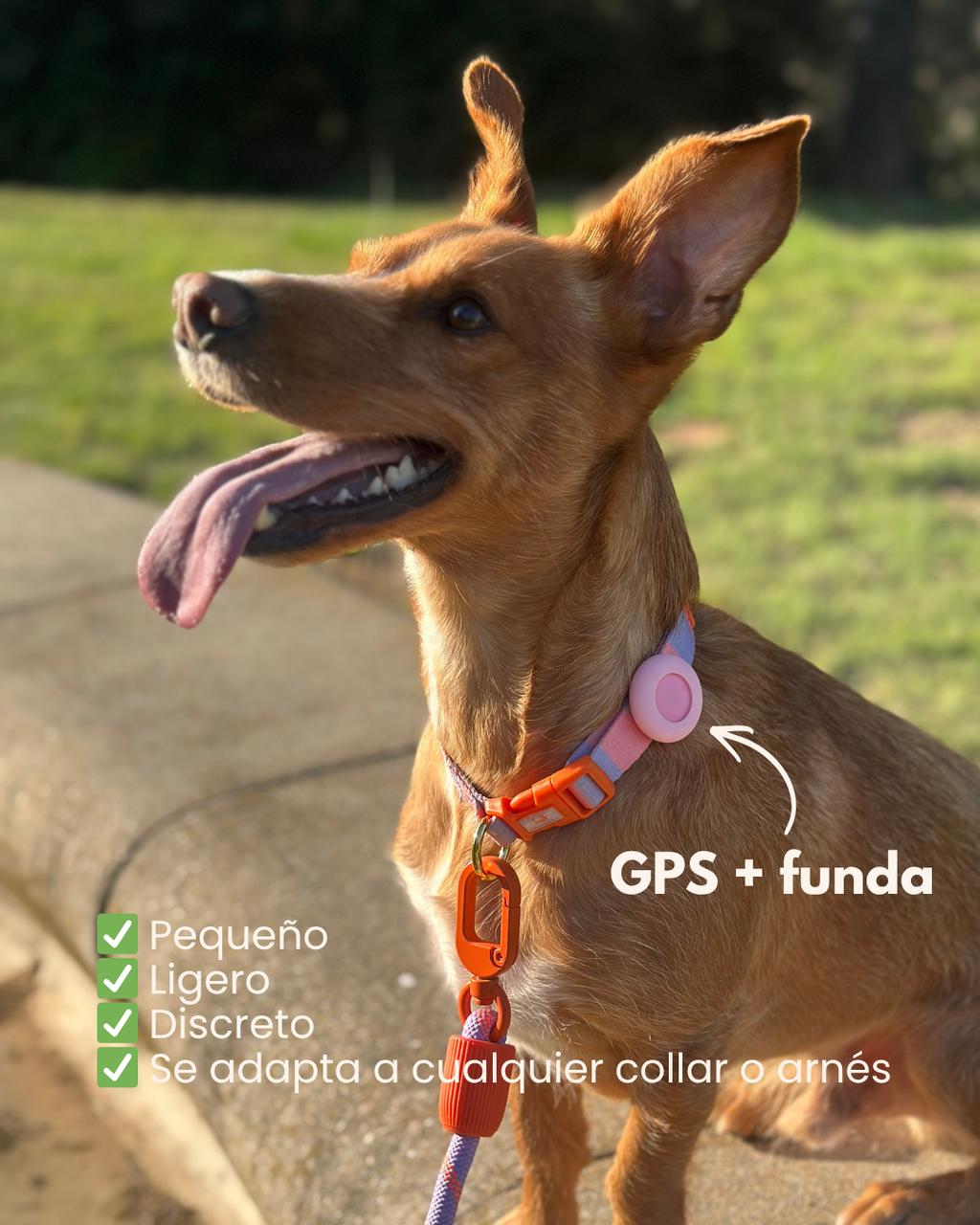 Pet Tracker GPS + Funda Rosa