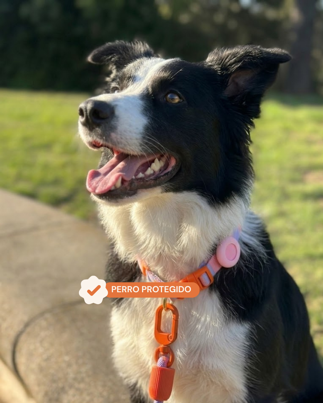 Pet Tracker GPS + Funda Rosa
