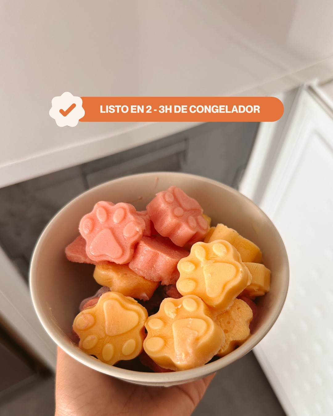 Molde Patitas Rosa — Snacks Caseros, Saludables y Refrescantes