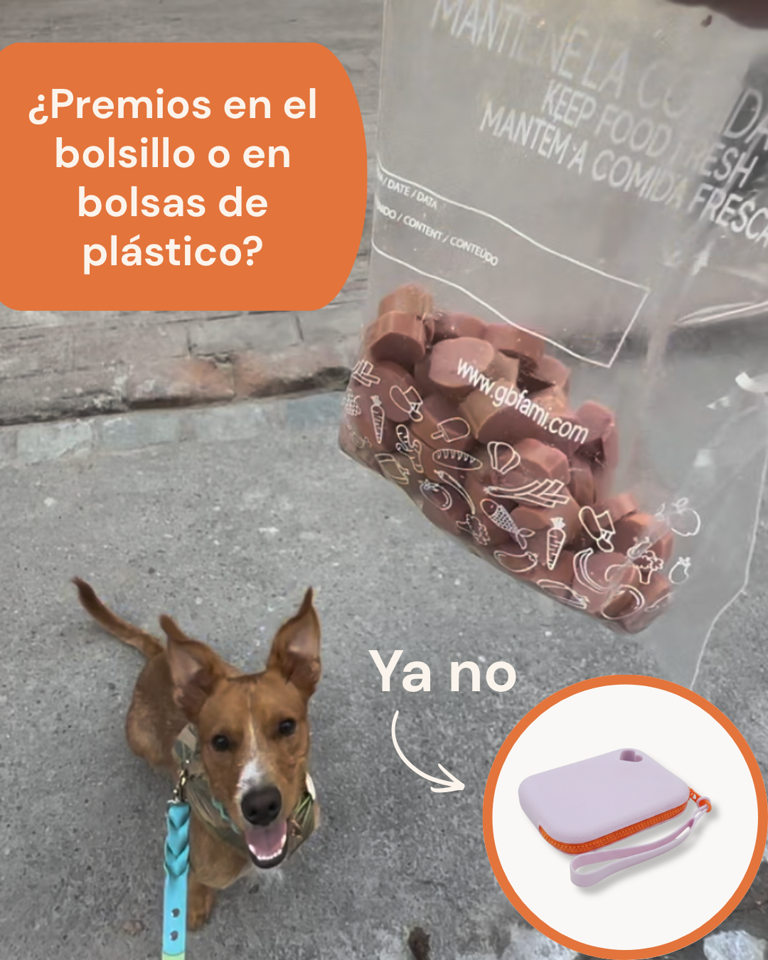Porta Snacks Lila
