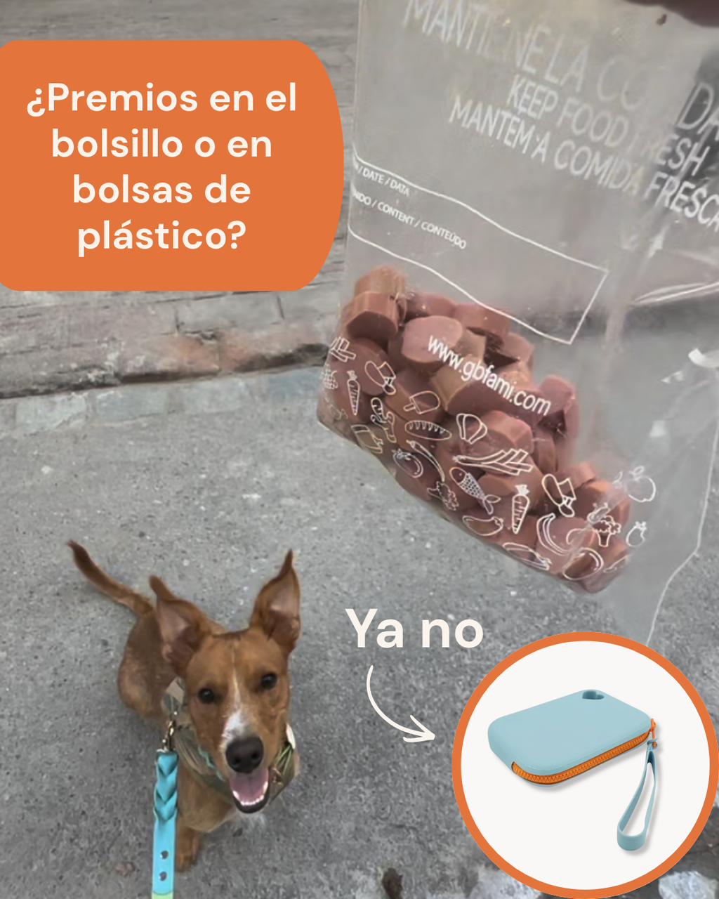 Porta Snacks Azul