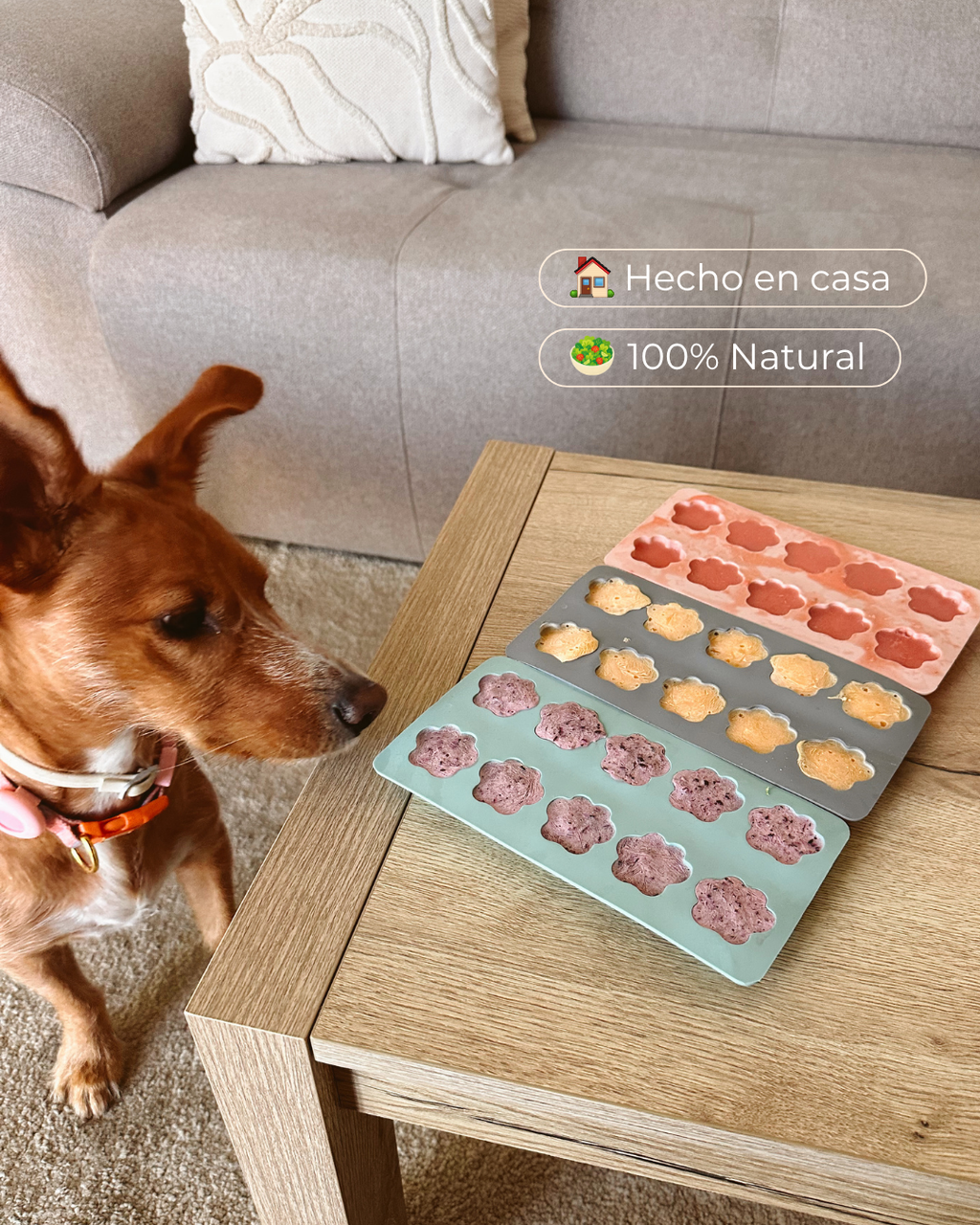 Molde Patitas Rosa — Snacks Caseros, Saludables y Refrescantes