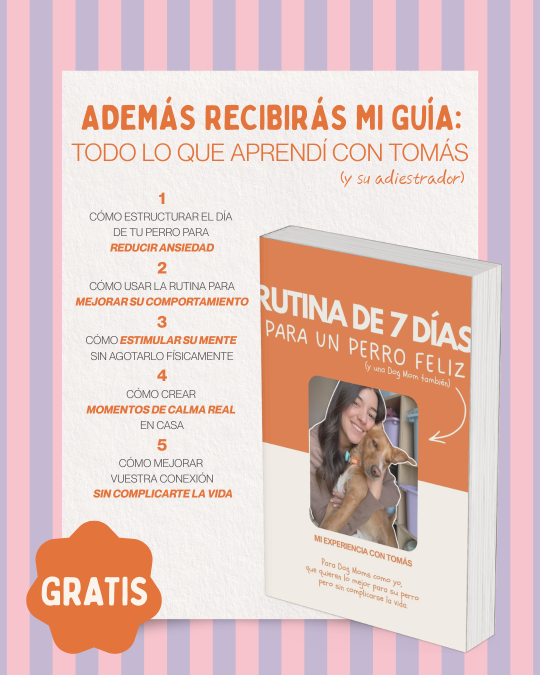 MASCOBOX ESENCIAL