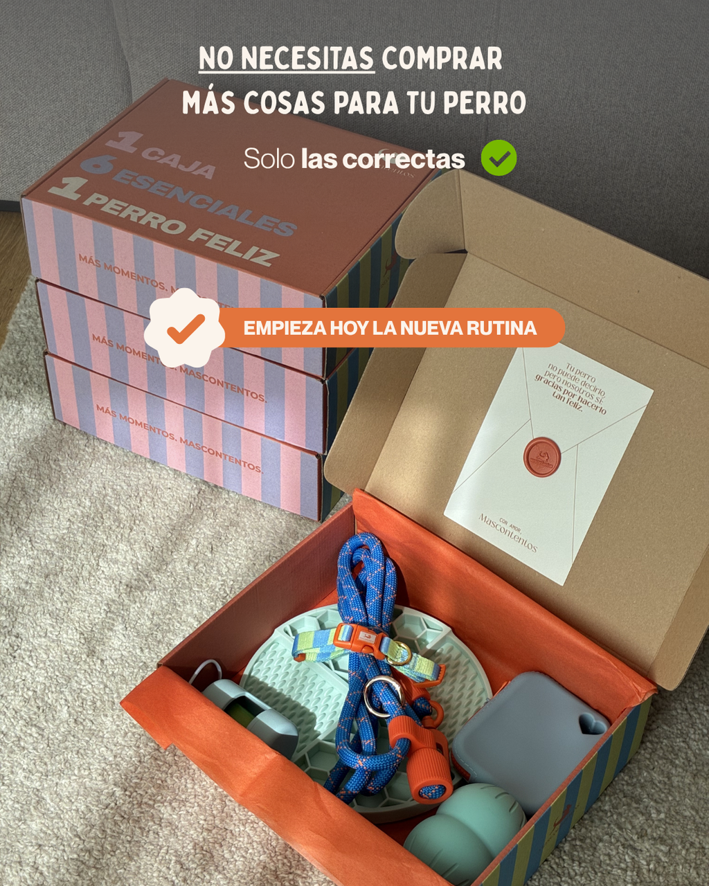 MASCOBOX ESENCIAL