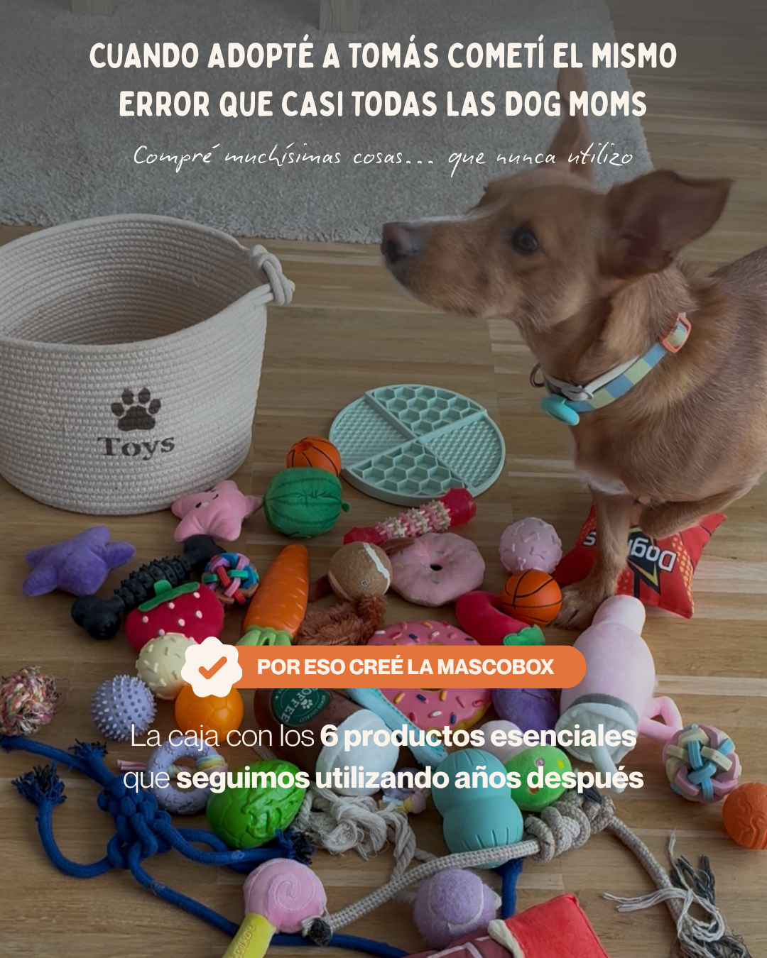 MASCOBOX ESENCIAL