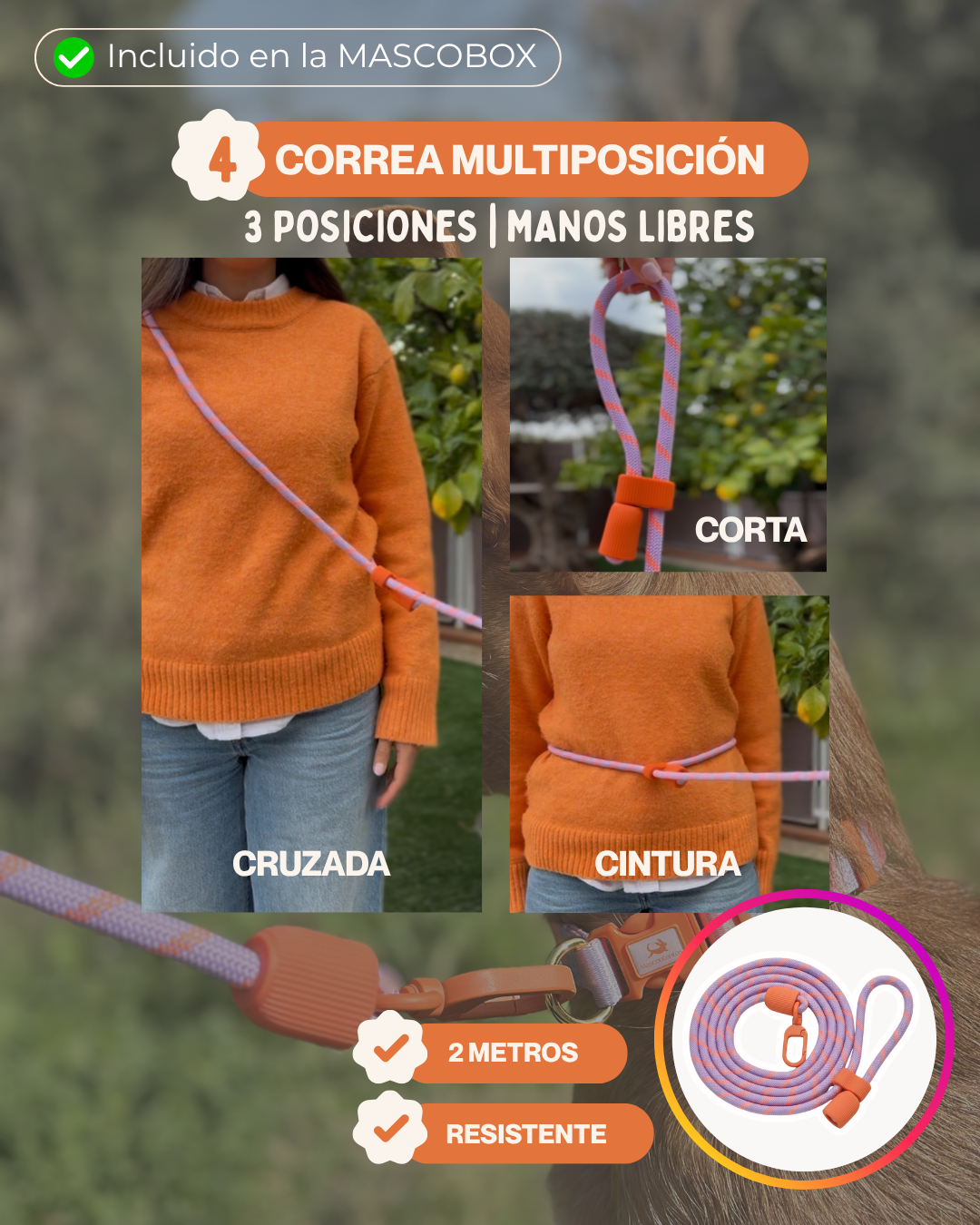 MASCOBOX TRANQUILIDAD