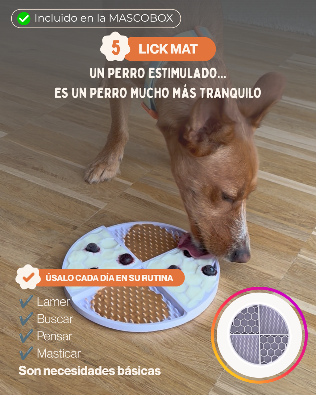 MASCOBOX TRANQUILIDAD