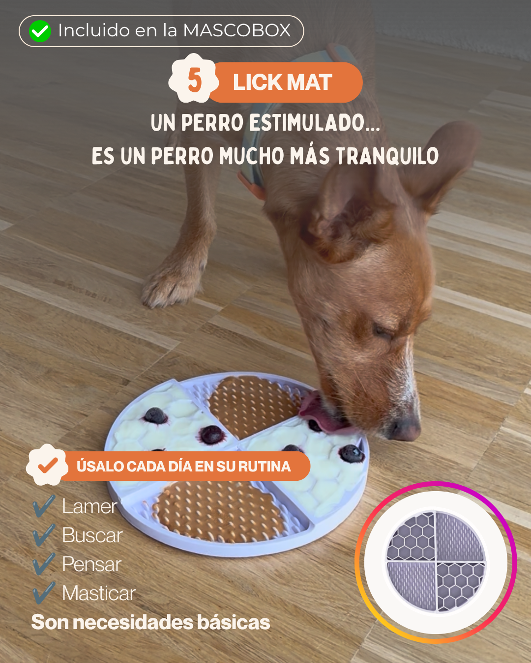 MASCOBOX TRANQUILIDAD