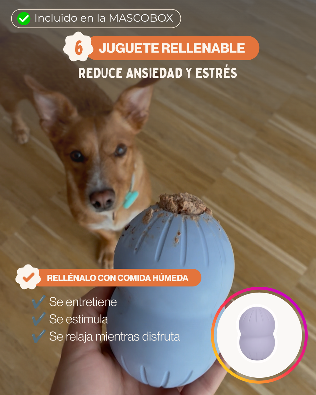 MASCOBOX TRANQUILIDAD