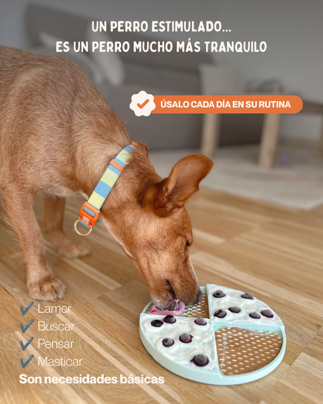 MASCOBOX ESENCIAL