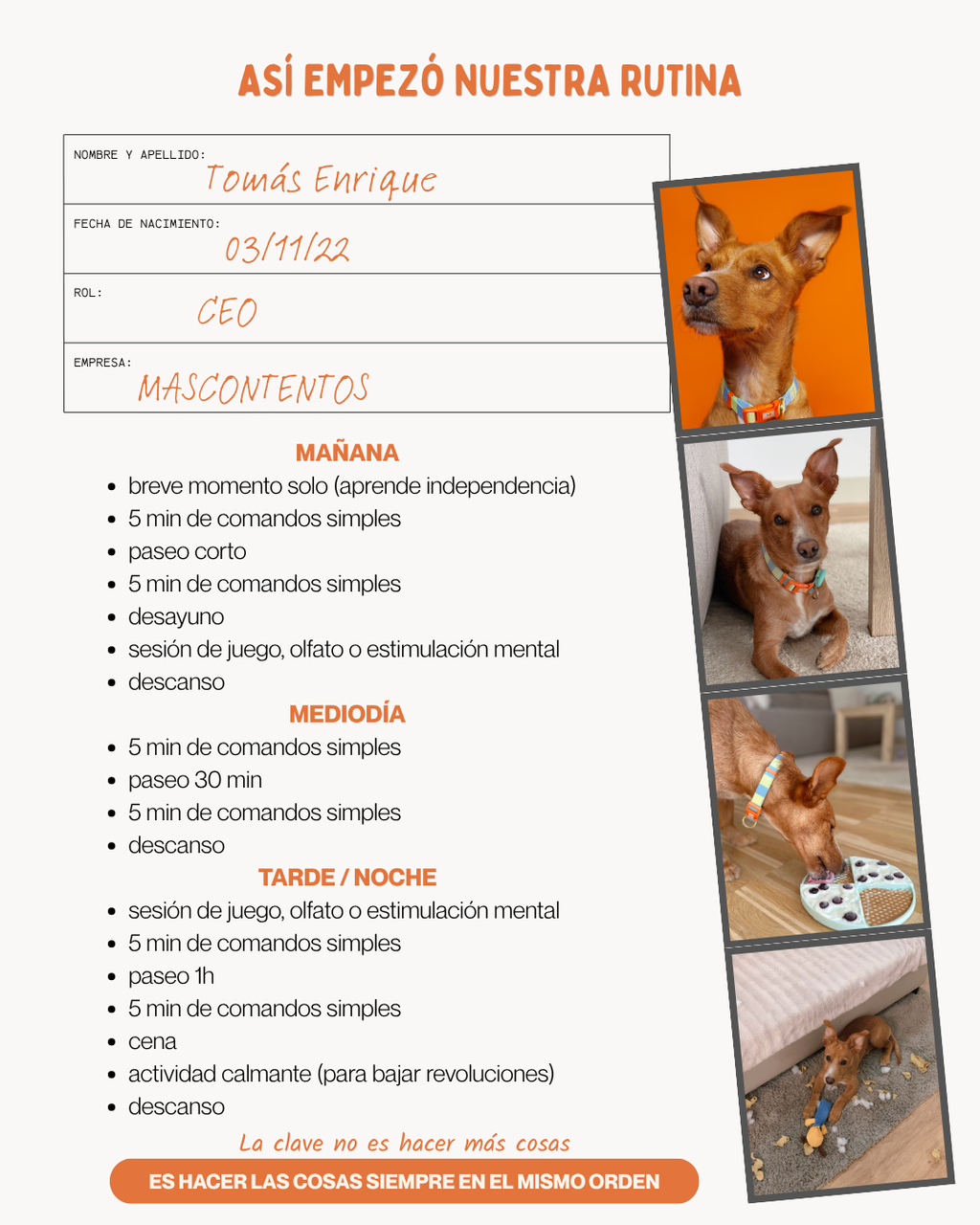 MASCOBOX ESENCIAL