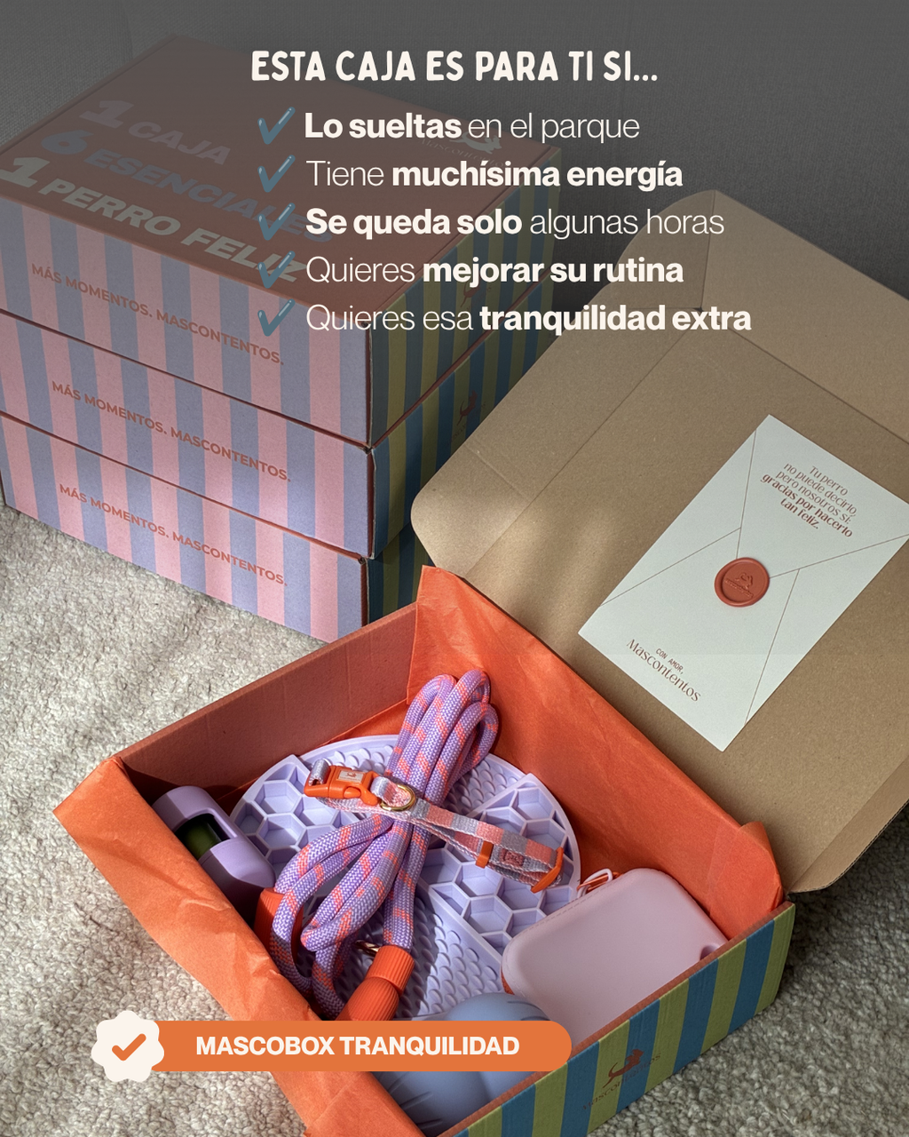 MASCOBOX TRANQUILIDAD