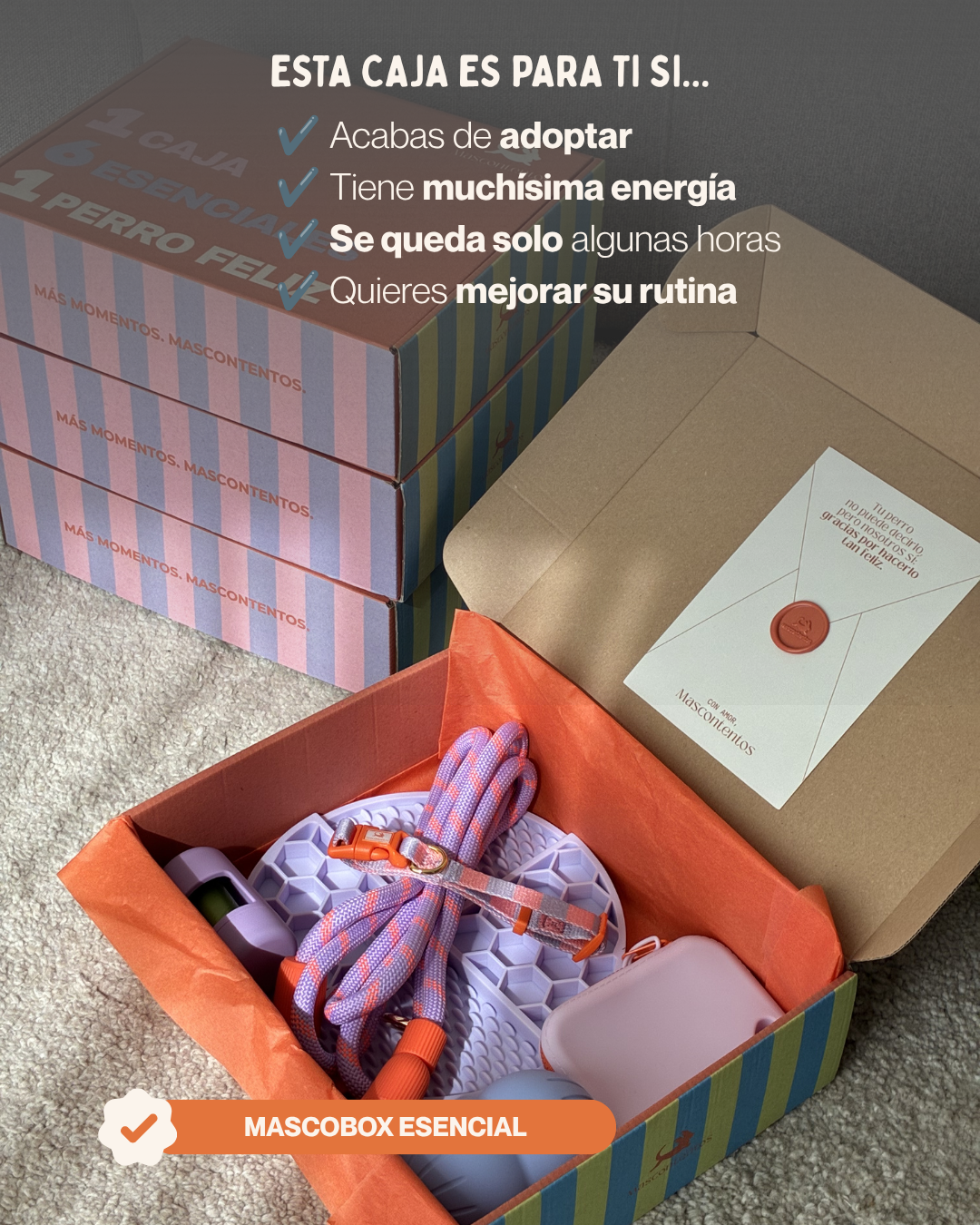 MASCOBOX ESENCIAL