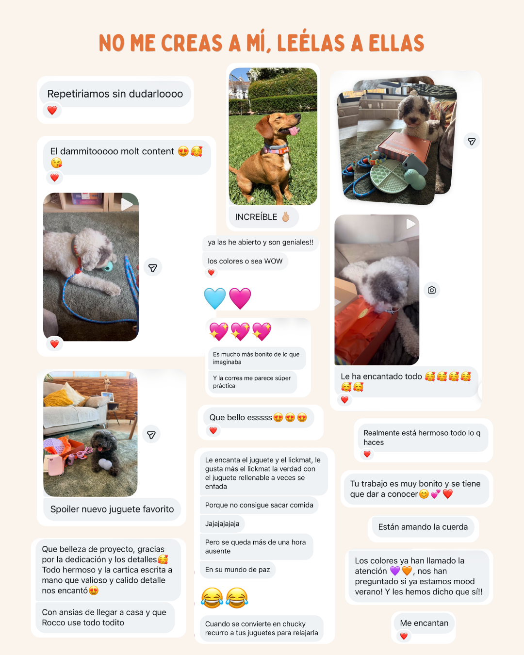 MASCOBOX ESENCIAL
