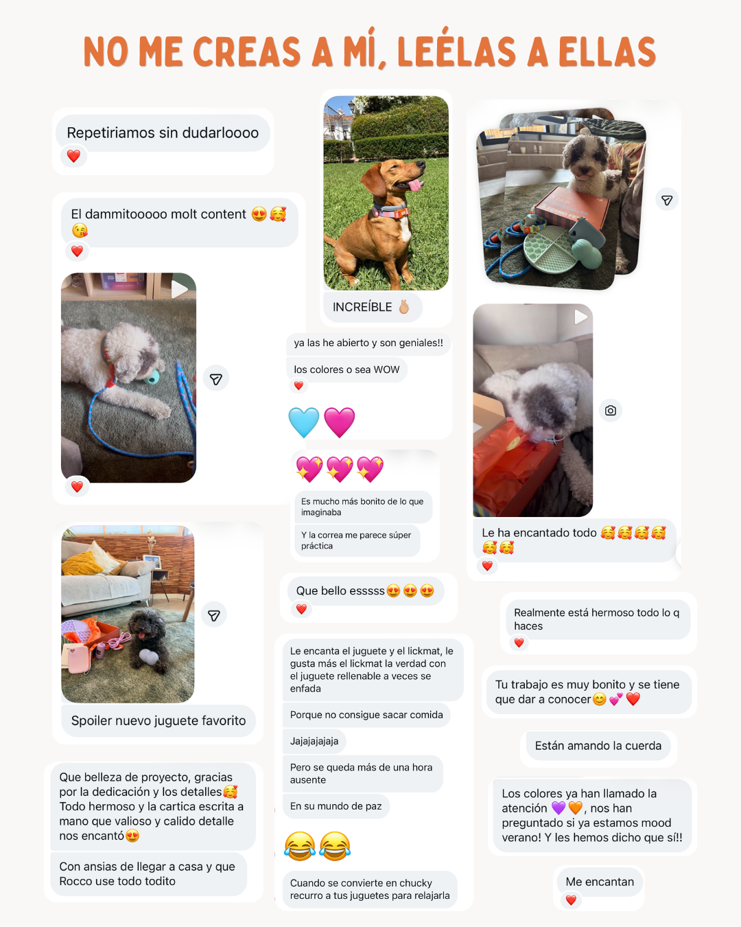 MASCOBOX TRANQUILIDAD