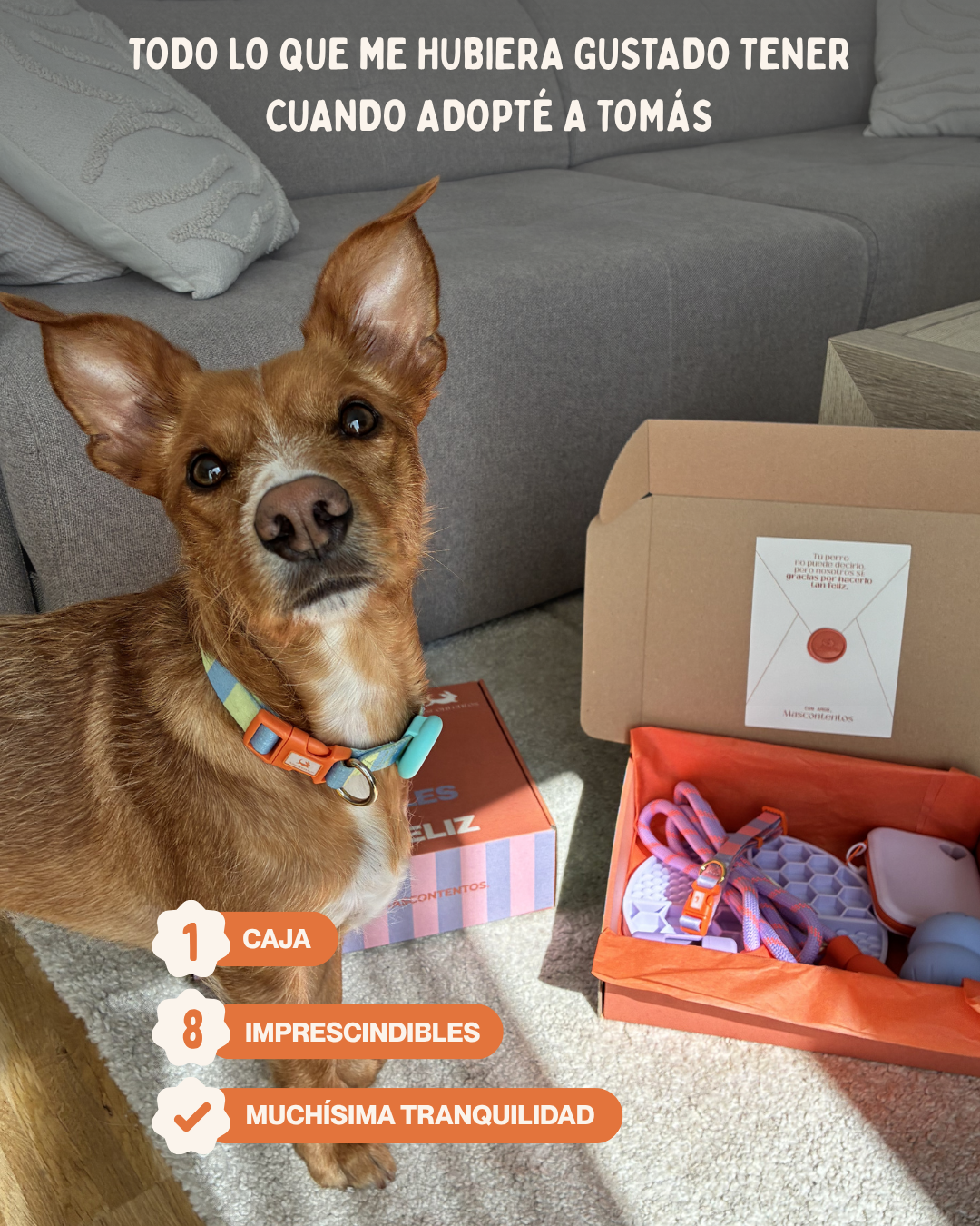 MASCOBOX TRANQUILIDAD