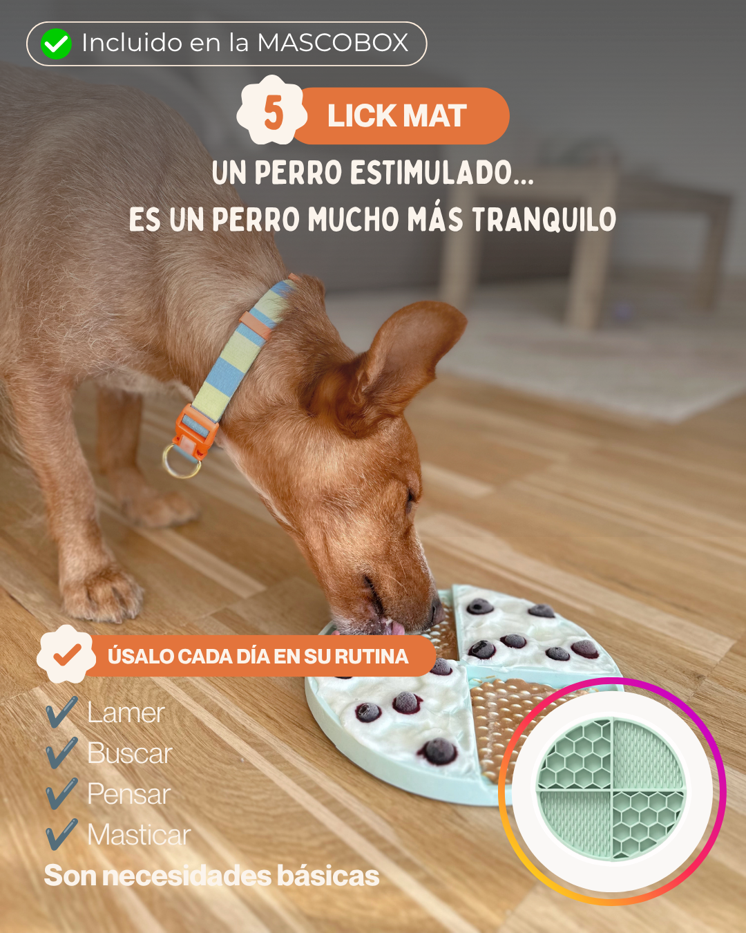 MASCOBOX TRANQUILIDAD