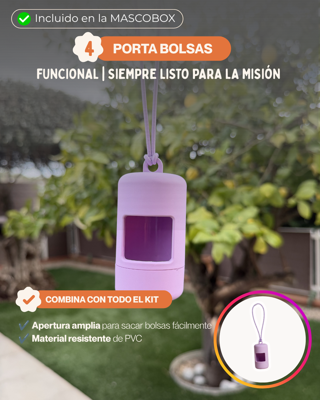 MASCOBOX RUTINA