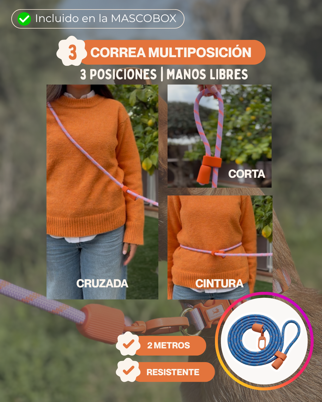 MASCOBOX ESENCIAL