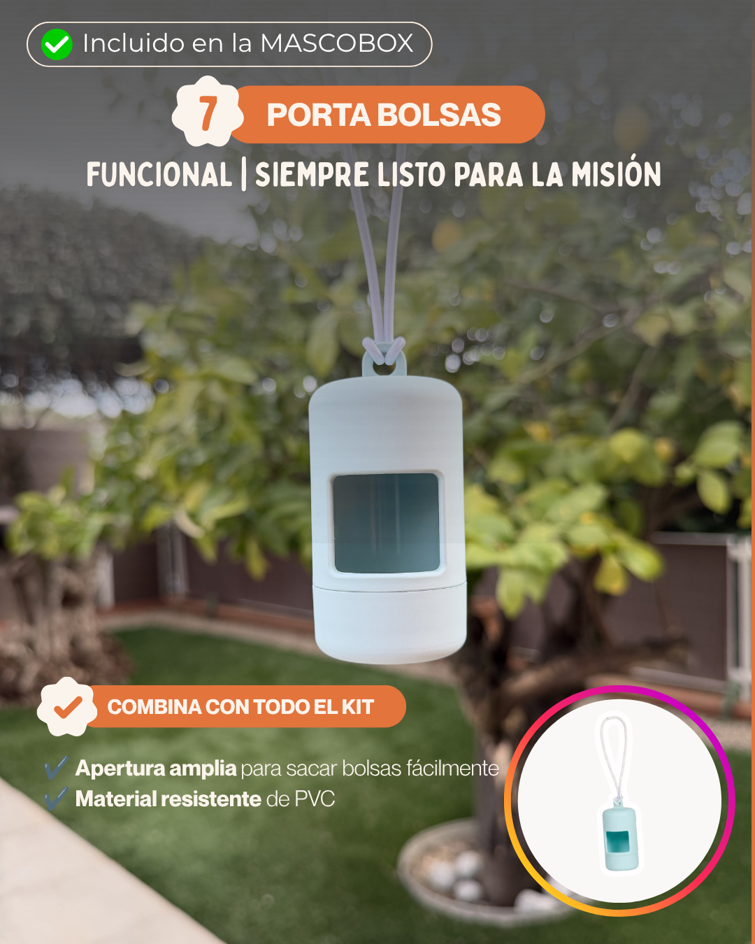MASCOBOX ESENCIAL