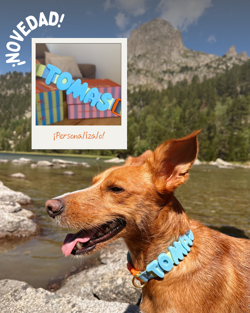Personaliza su collar