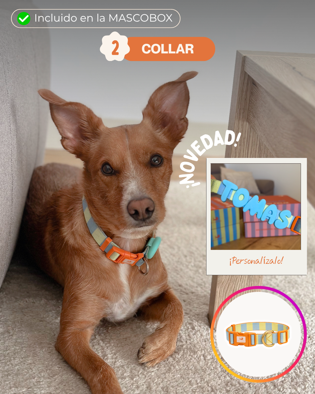 MASCOBOX TRANQUILIDAD