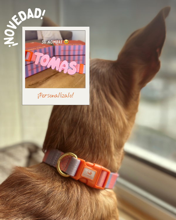 Personaliza el collar con su nombre