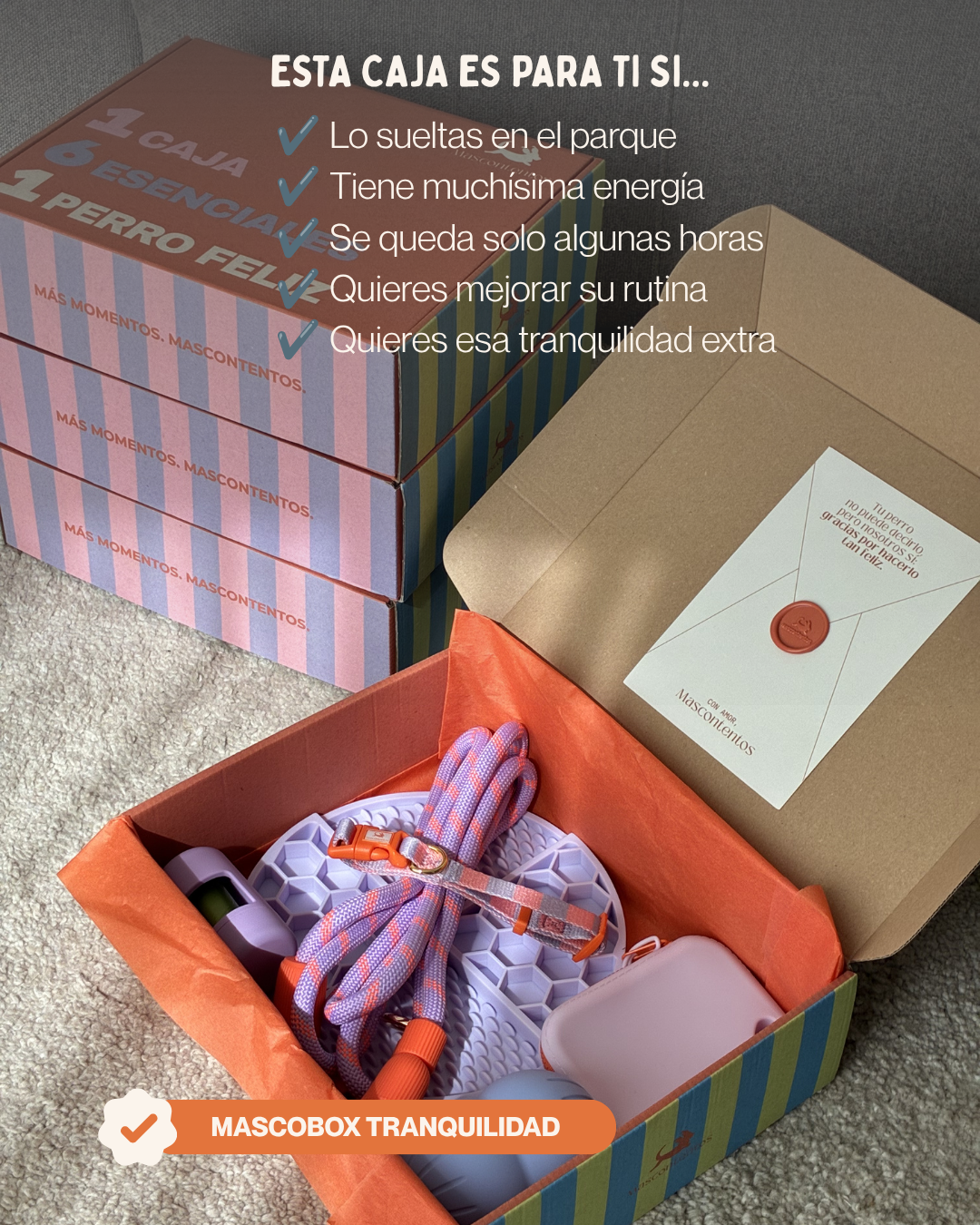 MASCOBOX TRANQUILIDAD
