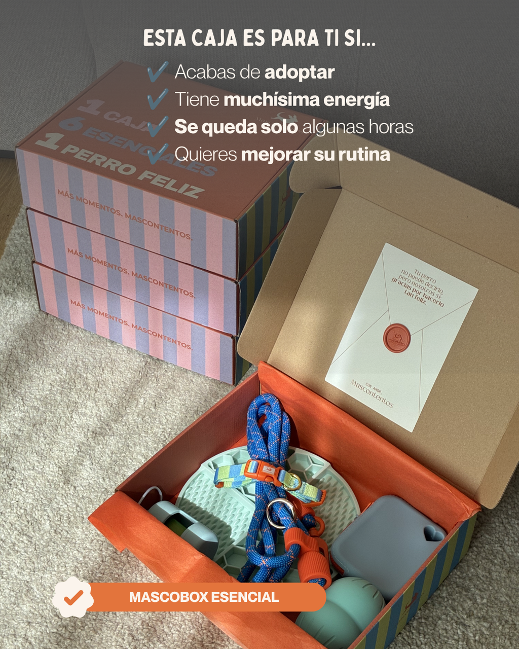 MASCOBOX ESENCIAL