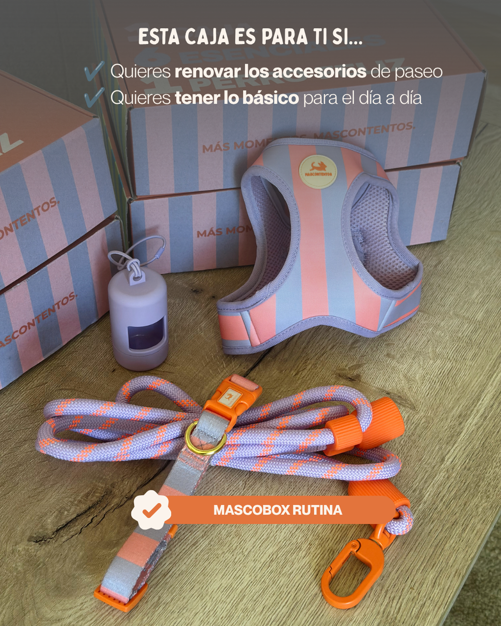 MASCOBOX RUTINA